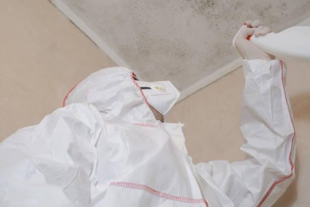 Best Mold Remediation  in Leipsic, OH