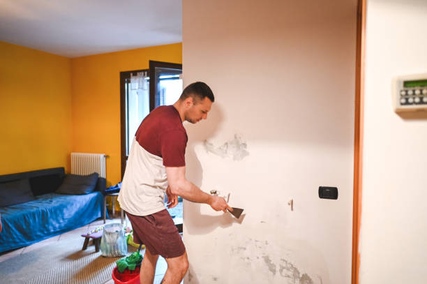 Best Emergency Mold Removal  in Leipsic, OH